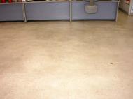 �ե������꡼�˥�