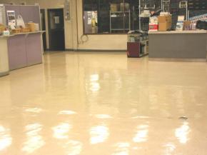 �ե������꡼�˥�